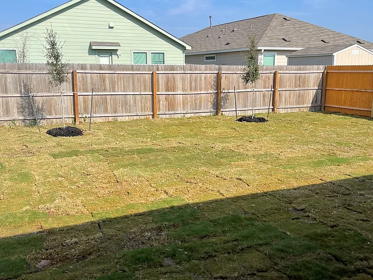 10538 Borlaug St — Photo 21