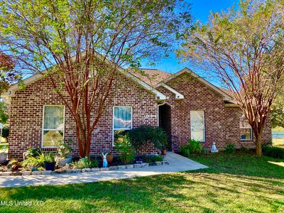 23 Native Dancer, Carriere, MS, 39426