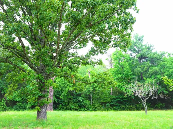 717 Palm Rd, Big Sandy, TX 75755