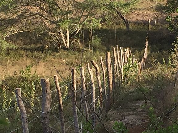 Fence to the East side