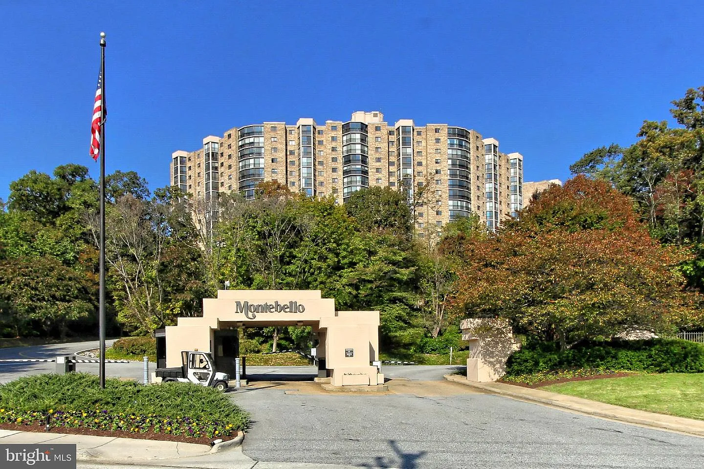 5903 Mount Eagle Dr APT 203 photo 1
