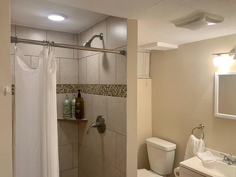 Basement level bathroom (shower)