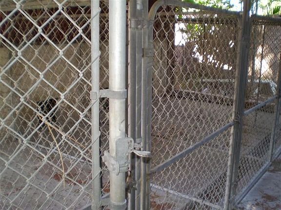 Kennels w/doors