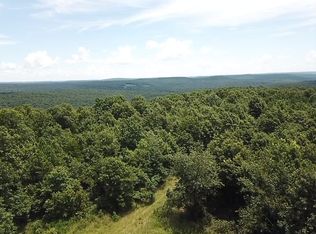 Sunnyland Rd TRACT 1, Mountain View, AR 72560