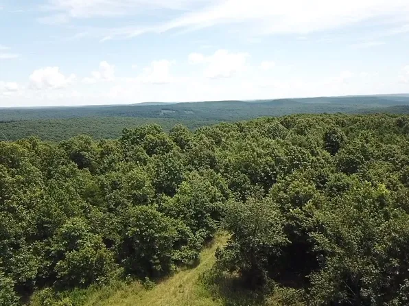 Sunnyland Rd Tract 1, Mountain View, AR 72560