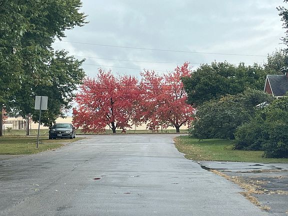 5th image of 440 Astor Ave