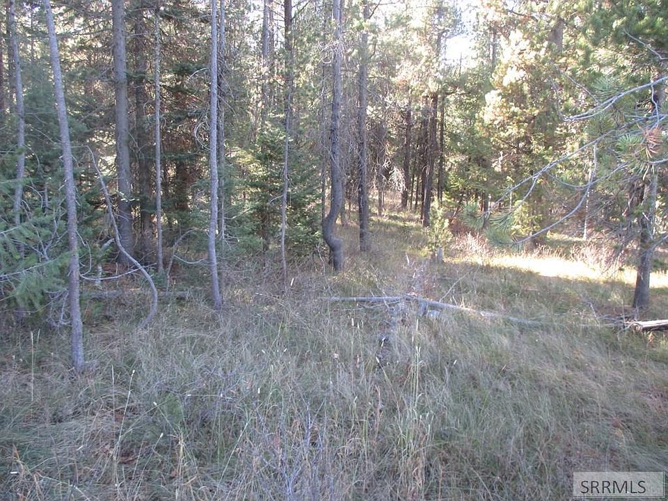 2nd image of 4493 Stone Run