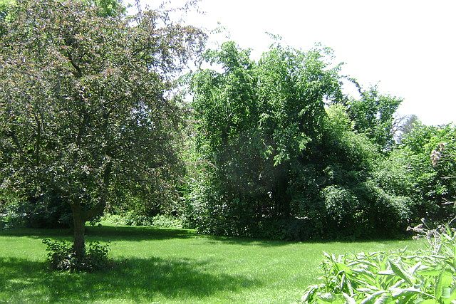 2nd image of 864 Bemis Rd