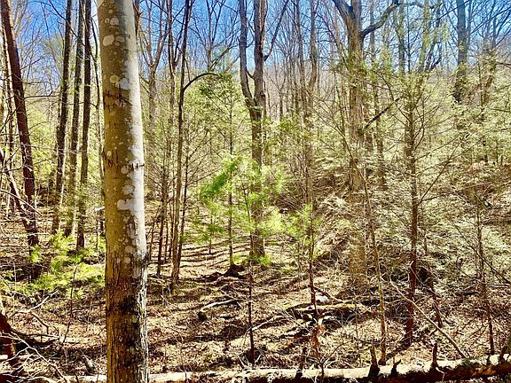 5th image of 2295 Kelley Gap Rd