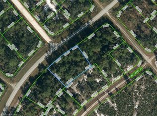 725 Wildflower St, Lake Placid, FL 33852