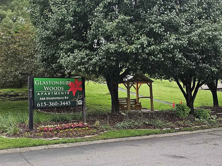 Glastonbury Woods — Photo 21