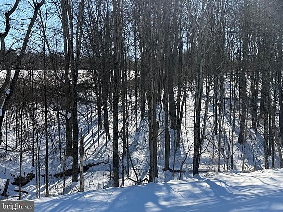 3rd image of 425 Cider Press Rd