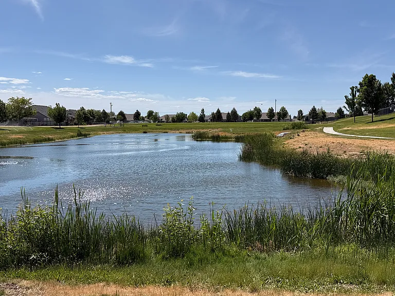 HOA Community Pond