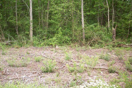 1st image of Highland Dr