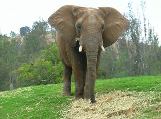 11775 Dawson Canyon Rd, Corona, CA 92883