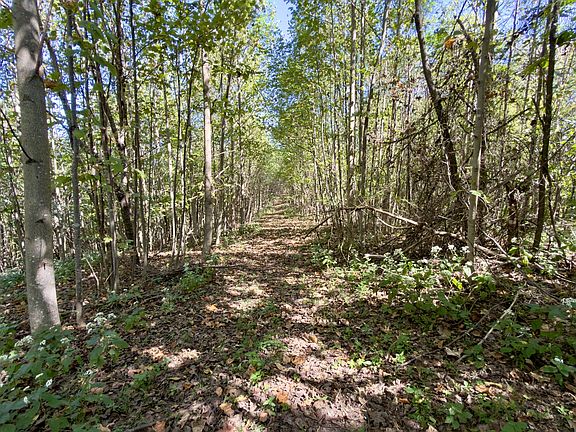 5th image of 2210 Old Prospect Rd