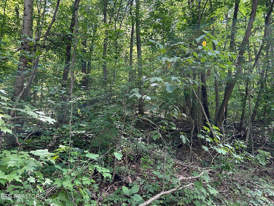 1st image of Pearl Ln Lot 20