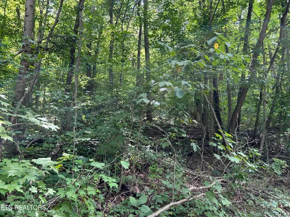 Pearl Ln Lot 20, Maynardville, TN 37807