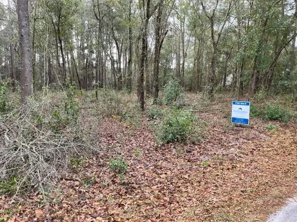 LOT 16 Meadow Ln SE, Darien, GA 31305