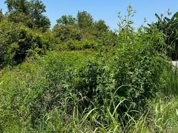 153 Buras River Rd, Buras, LA 70041