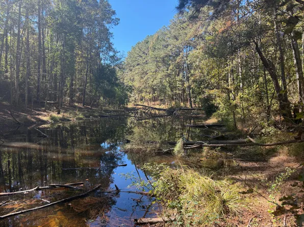 Timber Lane Dr, Collins, MS 39428