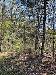 5th image of 1041 S New Era Rd Lot 0