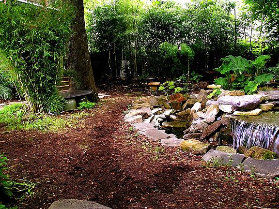 Backyard Water-feature