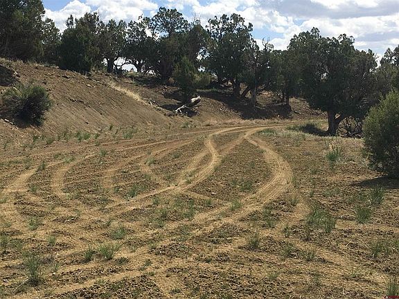 5th image of 18015 State Hwy 151