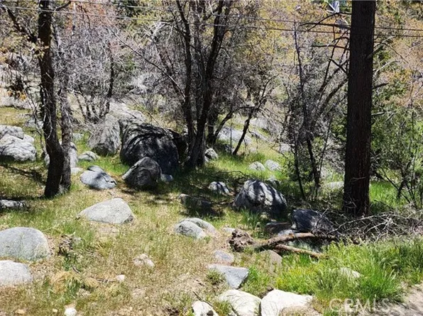 0 Deer Ln #2-3, Running Springs, CA 92382