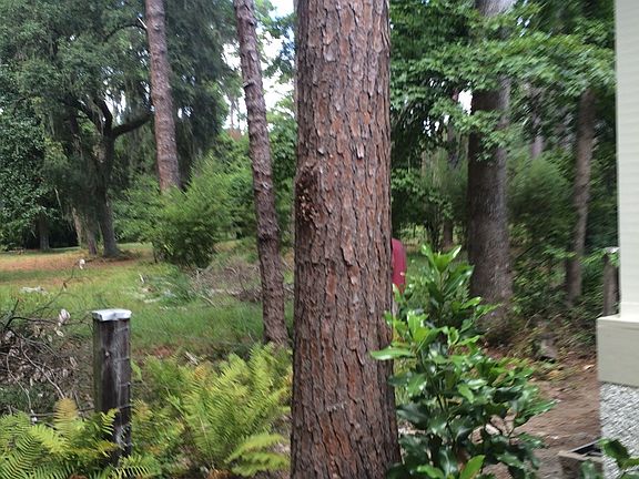 View from deck corner