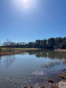 57/ACRE S County Road 4429, Avery, TX, 75554