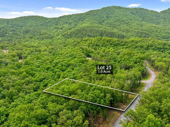 25 Crestview, Mineral Bluff, GA 30559