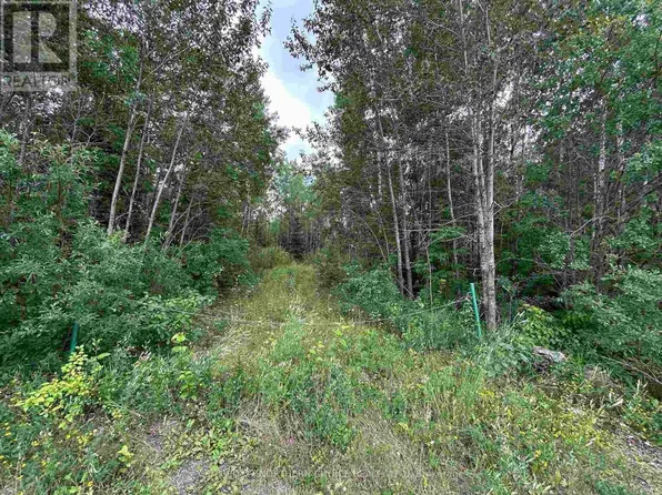 905 Frog Creek Rd, Alberton, ON P9A 3M2