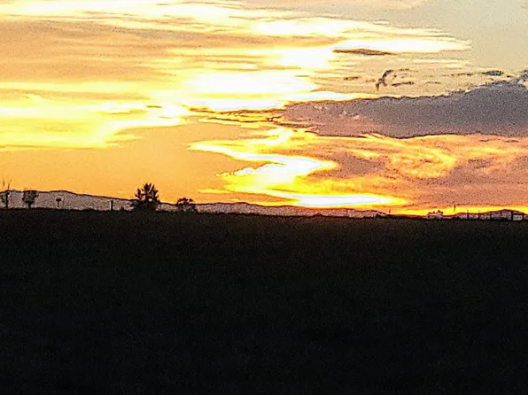 88 Lot 3 Rd, Pierce, CO 80650