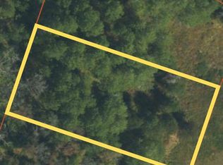 306 Long Dr, Lewiston, MI 49756