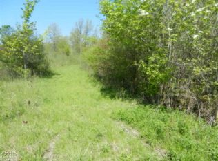 Vacant King Rd, East China, MI 48054