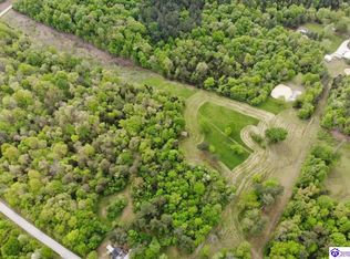 1113 Blue Bird Rd, Falls Of Rough, KY 40119