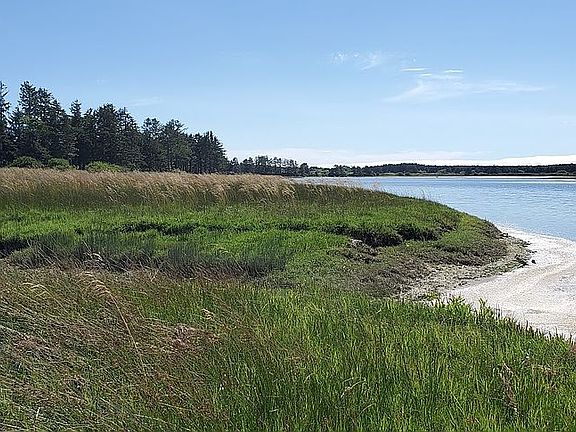 South