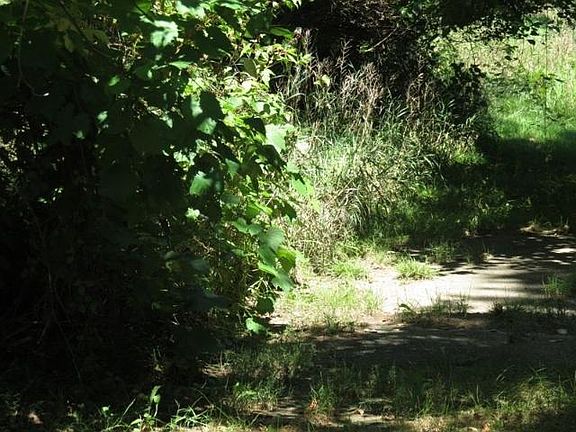 5th image of W8190 County Road B