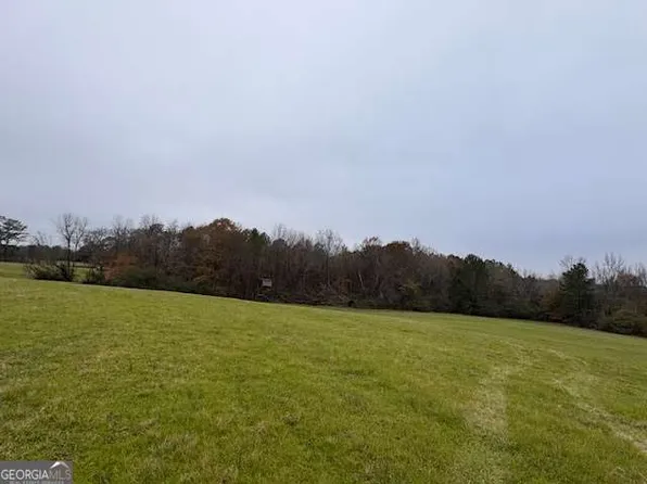 0 New Town Church Rd, Carlton, GA 30627