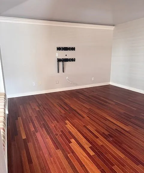825 Hibiscus Ct — Photo 5