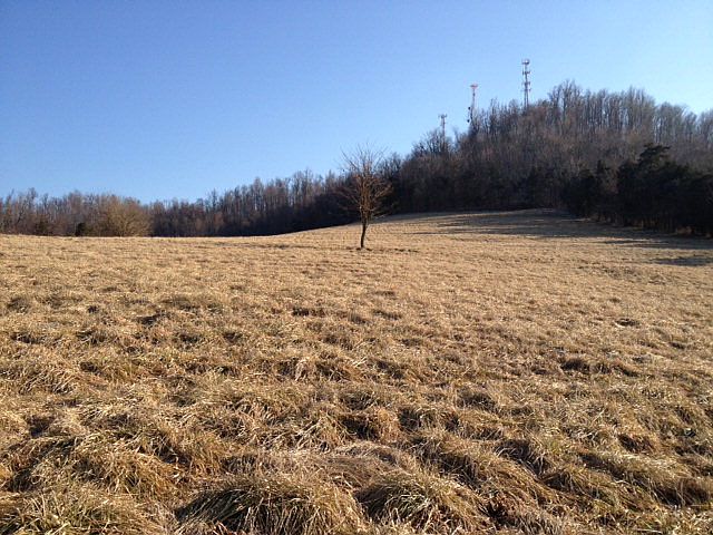 2nd image of 28962 Louisville Rd