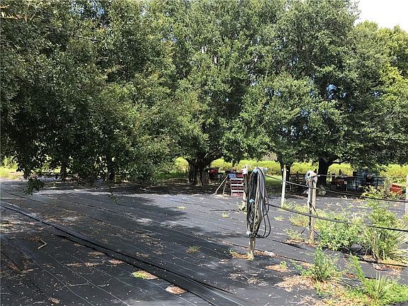 3rd image of 14139 Pigeon Rd