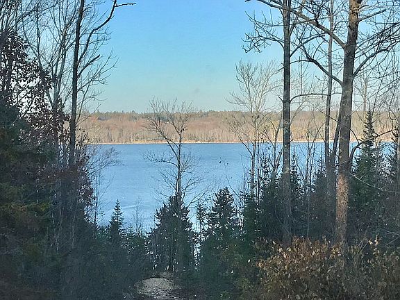 View from porch and deck