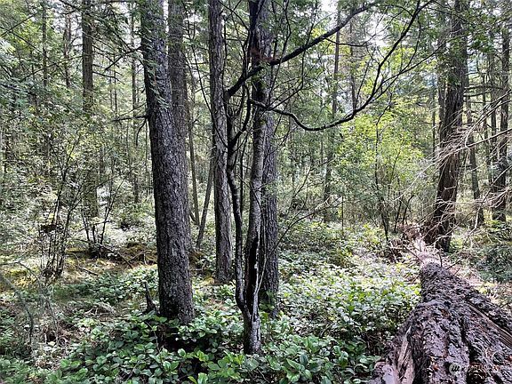4th image of 378 Kasnyku Lane