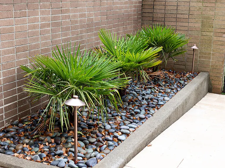 Senate Plaza — Photo 15