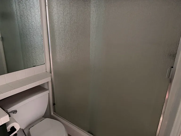 Master Bathroom Walk-in Shower