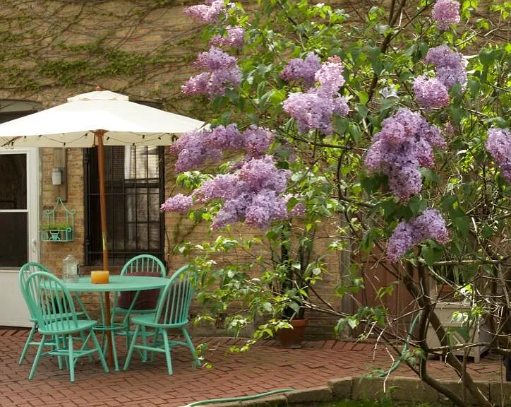 2129 W Le Moyne St #COACH HOUSE — Photo 9