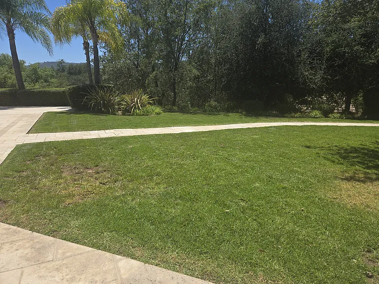41565 Avenida Conchita — Photo 29