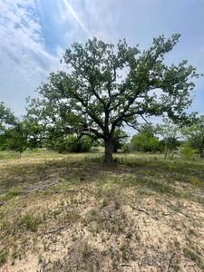 TBD 5AC Oak Ridge Trail, Kingsland, TX, 78639